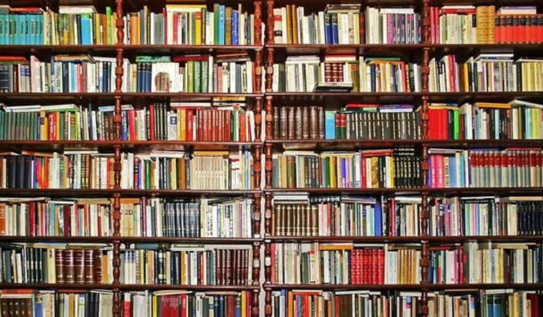 Une nouvelle Boite à Livres !