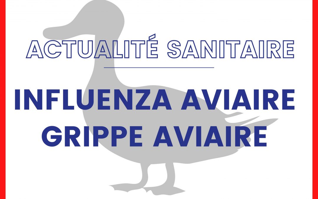 INFLUENZA AVIAIRE – Passage en niveau de risque hautement pathogène