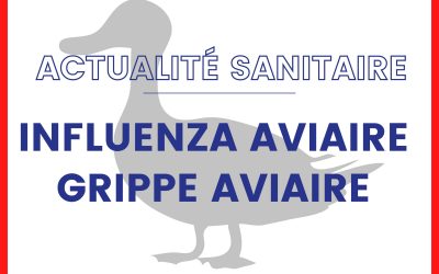 INFLUENZA AVIAIRE – Passage en niveau de risque hautement pathogène