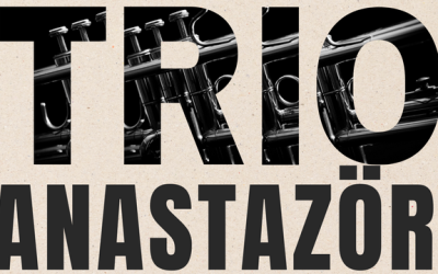 Samedi 14 novembre à 20h30 – Concert TRIO ANASTAZÖR