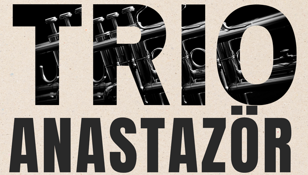 Samedi 14 novembre à 20h30 – Concert TRIO ANASTAZÖR